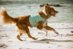 Hurtta Cooling Wrap Aquamarine -Huisdierproducten 0227271 met hond