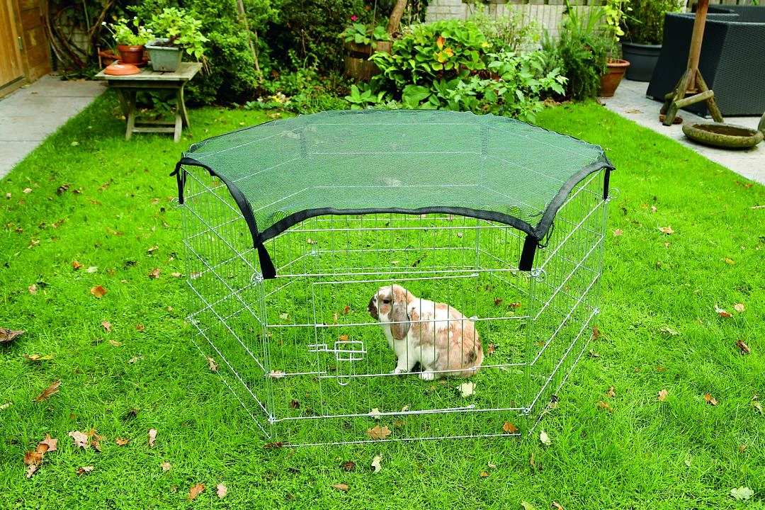 Beeztees Afdeknet Voor Konijnenren 275600 Groen 2 Beeztees Afdeknet Voor Konijnenren 275600 Groen - Afbeelding 2