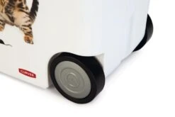 Curver Voedselcontainer Kat 35 Ltr -Huisdierproducten 0412026 det5