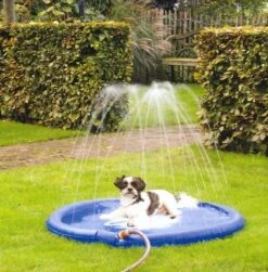 Beeztees Sprinklermat Stay Cool Blauw 100 Cm 5 Beeztees Sprinklermat Stay Cool Blauw 100 Cm -Huisdierproducten 0740630 sfeer1