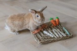 Beeztees Knaagdierspeelmat Nature 7 Beeztees Knaagdierspeelmat Nature -Huisdierproducten 0811182 sfeer2