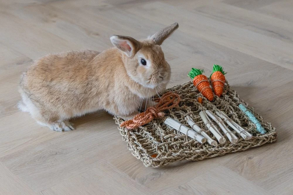 Beeztees Knaagdierspeelmat Nature 4 Beeztees Knaagdierspeelmat Nature - Afbeelding 4