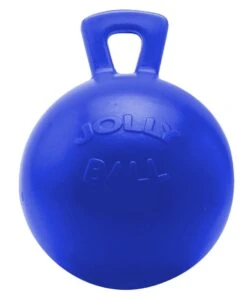 Jolly Ball Geurloos 25 Cm