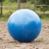 QHP Paardenvoetbal Blauw 80 - 100 Cm