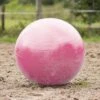 QHP Paardenvoetbal Roze 80 - 100 Cm