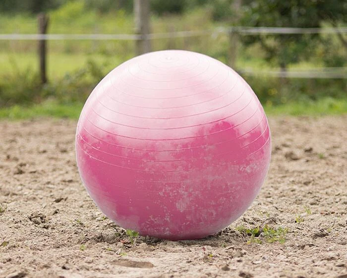 QHP Paardenvoetbal Roze 80 - 100 Cm 1 QHP Paardenvoetbal Roze 80 - 100 Cm