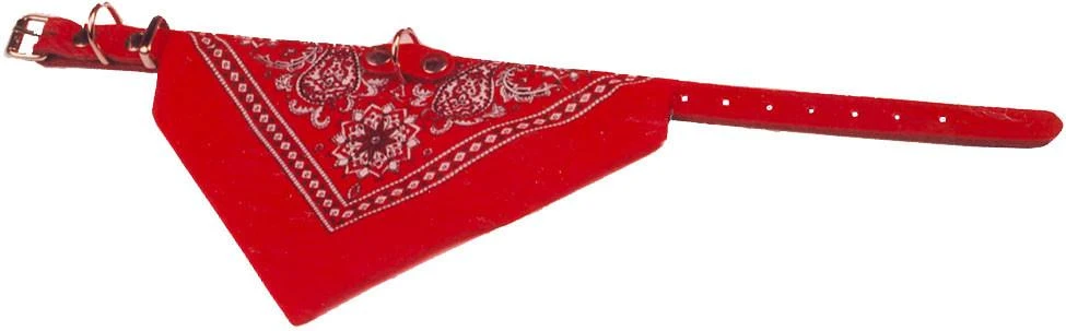Boon Halsband Met Zakdoek Rood 2 Boon Halsband Met Zakdoek Rood - Afbeelding 2