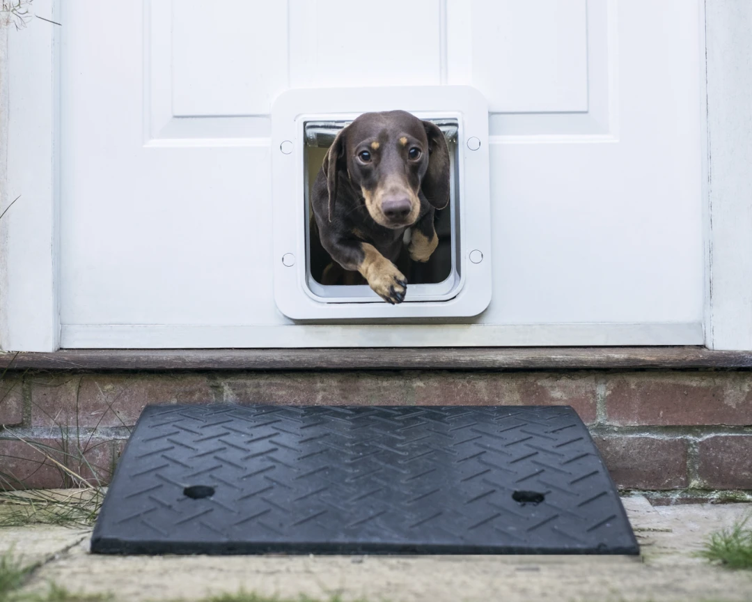 Sureflap Huisdierluik Connect Wit - Afbeelding 3