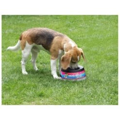 Road Refresher Grijs -Huisdierproducten LGRR 3