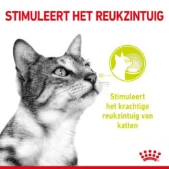 Royal Canin Kattenvoer Sensory Smell In Gravy 12 X 85 Gr 5 Royal Canin Kattenvoer Sensory Smell In Gravy 12 X 85 Gr -Huisdierproducten RC SPT WET SensSmellCIG CV 1 nl NL