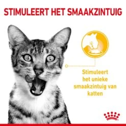 Royal Canin Kattenvoer Sensory Taste In Gravy 12 X 85 Gr -Huisdierproducten RC SPT WET SensTasteCIG CV 1 nl NL