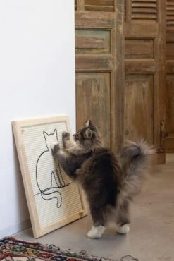 Designed By Lotte Hout Krabplank Sammy -Huisdierproducten Web 0409140 sfeer1