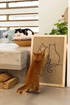 Designed By Lotte Hout Krabplank Poezels -Huisdierproducten Web 0409142 sfeer1