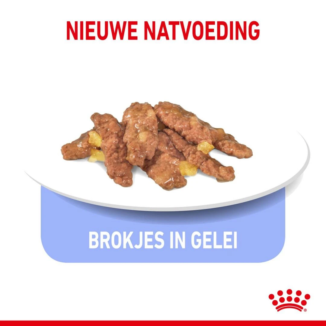 Royal Canin Kattenvoer Indoor In Jelly 12 X 85 Gr 3 Royal Canin Kattenvoer Indoor In Jelly 12 X 85 Gr - Afbeelding 3