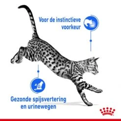 Royal Canin Kattenvoer Indoor In Jelly 12 X 85 Gr 7 Royal Canin Kattenvoer Indoor In Jelly 12 X 85 Gr -Huisdierproducten royal canin indoor sterilised jelly volwassen kat binnenkatten hero usp