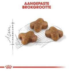 Huisdierproducten 27 Huisdierproducten -Huisdierproducten royal canin kitten kitten kat groeifase hero kibble