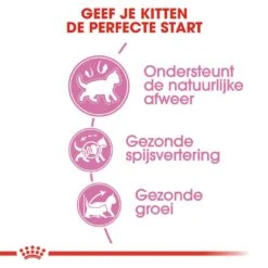 Royal Canin Kattenvoer Kitten 10 Kg 6 Royal Canin Kattenvoer Kitten 10 Kg -Huisdierproducten royal canin kitten kitten kat groeifase hero usp