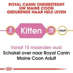 Royal Canin Kattenvoer Maine Coon Kitten 4 Kg 7 Royal Canin Kattenvoer Maine Coon Kitten 4 Kg -Huisdierproducten royal canin maine coon kitten kitten kat maine coon hero image 8