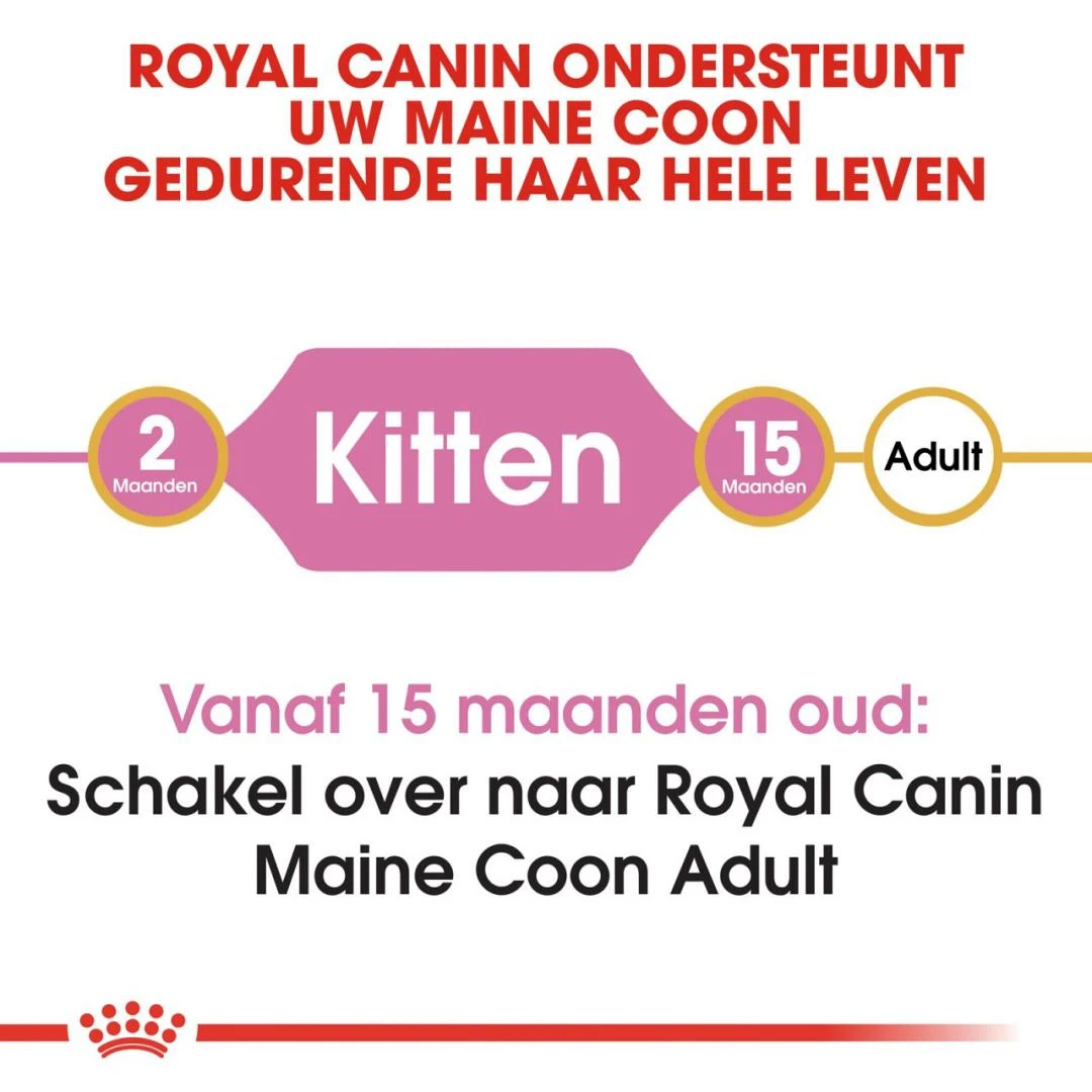 Royal Canin Kattenvoer Maine Coon Kitten 4 Kg 4 Royal Canin Kattenvoer Maine Coon Kitten 4 Kg - Afbeelding 4