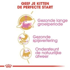 Royal Canin Kattenvoer Maine Coon Kitten 4 Kg 6 Royal Canin Kattenvoer Maine Coon Kitten 4 Kg -Huisdierproducten royal canin maine coon kitten kitten kat maine coon hero usp