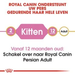 Royal Canin Kattenvoer Persian Kitten 10 Kg -Huisdierproducten royal canin persian kitten kitten kat pers hero image 8
