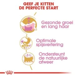 Royal Canin Kattenvoer Persian Kitten 10 Kg -Huisdierproducten royal canin persian kitten kitten kat pers hero usp